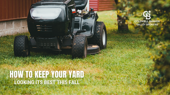 Fall Landscaping